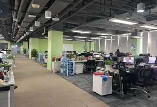 昭通千年琥珀收藏